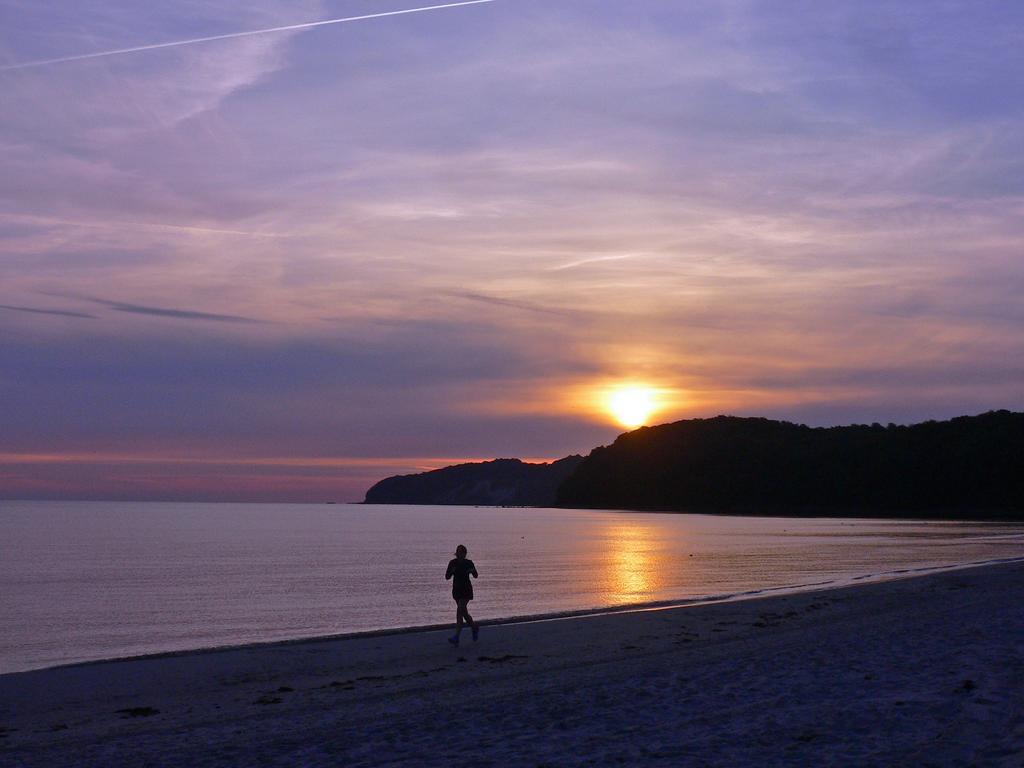 Ruhige Direkt Am Strand, Stranddistel, *