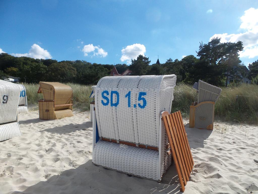 Ruhige Direkt Am Strand, Stranddistel, Binz